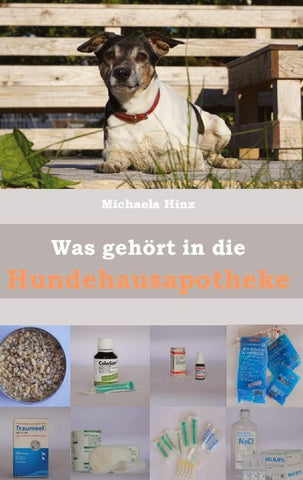 Was gehört in die Hundehausaportheke