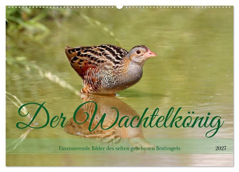 Der Wachtelkönig (Wandkalender 2027 DIN A2 quer), CALVENDO Monatskalender