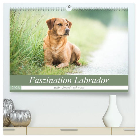 Faszination Labrador - gelb, foxred, schwarz (hochwertiger Premium Wandkalender 2026 DIN A2 quer), Kunstdruck in Hochglanz