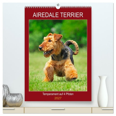 Airedale Terrier - Temperament auf 4 Pfoten (hochwertiger Premium Wandkalender 2027 DIN A2 hoch), Kunstdruck in Hochglanz