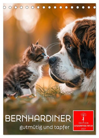 Bernhardiner - gutmütig und tapfer (Tischkalender 2027 DIN A5 hoch), CALVENDO Monatskalender
