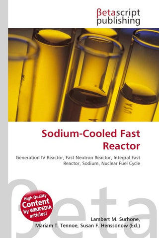 Sodium-Cooled Fast Reactor