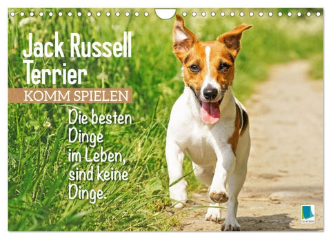 Jack Russell Terrier: Komm spielen (Wandkalender 2027 DIN A4 quer), CALVENDO Monatskalender