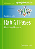 Rab GTPases