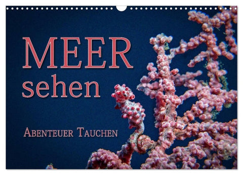 Meer sehen - Abenteuer Tauchen (Wandkalender 2027 DIN A3 quer), CALVENDO Monatskalender