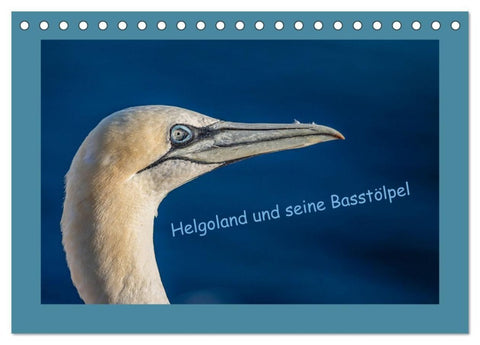 Helgoland und seine Basstölpel (Tischkalender 2027 DIN A5 quer), CALVENDO Monatskalender
