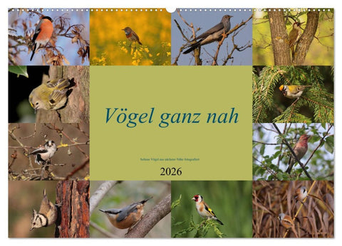 Vögel ganz nah (Wandkalender 2026 DIN A2 quer), CALVENDO Monatskalender