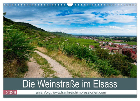 Die Weinstaße im Elsass (Wandkalender 2026 DIN A3 quer), CALVENDO Monatskalender