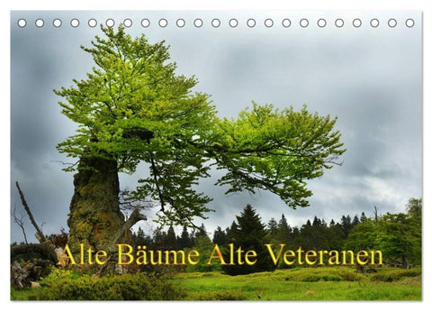 Alte Bäume Alte Veteranen (Tischkalender 2026 DIN A5 quer), CALVENDO Monatskalender