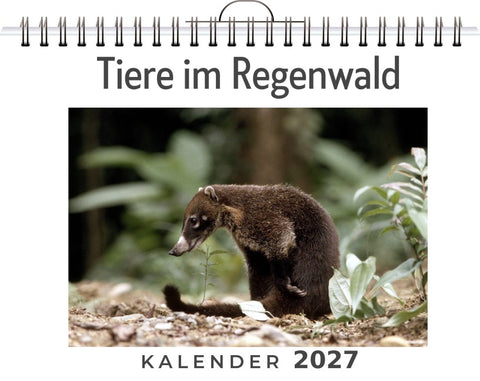 Tiere im Regenwald