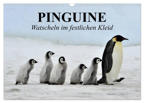 Pinguine - Watscheln im festlichen Kleid (Wandkalender 2026 DIN A3 quer), CALVENDO Monatskalender