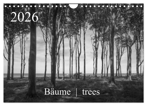 Bäume trees 2026 (Wandkalender 2026 DIN A4 quer), CALVENDO Monatskalender