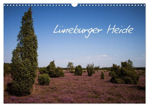 Lüneburger Heide (Wandkalender 2027 DIN A3 quer), CALVENDO Monatskalender
