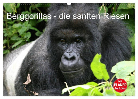 Berggorillas - die sanften Riesen (Wandkalender 2026 DIN A2 quer), CALVENDO Monatskalender