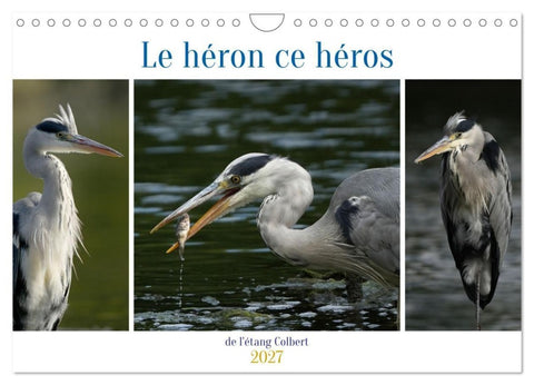 Le héron ce héros de l'étang Colbert (Calendrier mural 2027 DIN A4 vertical), CALVENDO calendrier mensuel