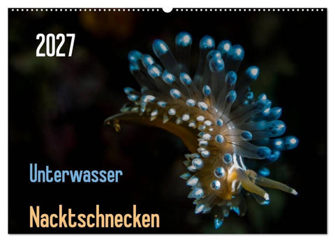 Unterwasser - Nacktschnecken 2027 (Wandkalender 2027 DIN A2 quer), CALVENDO Monatskalender