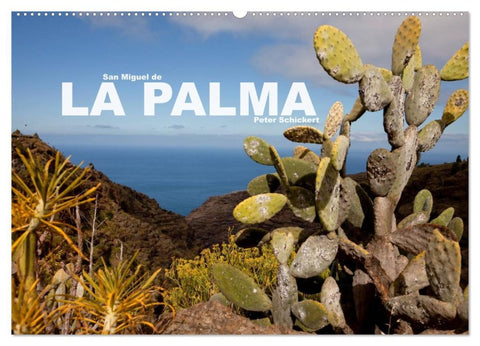 San Miguel de la Palma (Wandkalender 2026 DIN A2 quer), CALVENDO Monatskalender