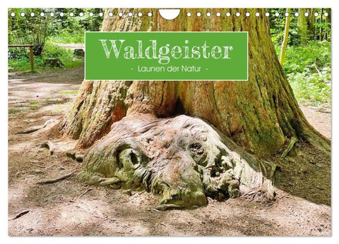 Waldgeister - Launen der Natur (Wandkalender 2027 DIN A4 quer), CALVENDO Monatskalender