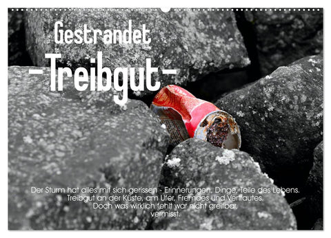 Gestrandet -Treibgut- (Wandkalender 2026 DIN A2 quer), CALVENDO Monatskalender