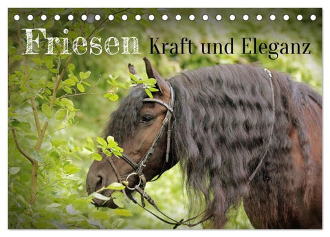 Friesen - Kraft und Eleganz (Tischkalender 2027 DIN A5 quer), CALVENDO Monatskalender