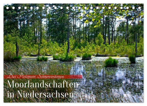 Niedersachsens Moorlandschaften - Das Pietzmoor, Schneverdingen (Tischkalender 2027 DIN A5 quer), CALVENDO Monatskalender
