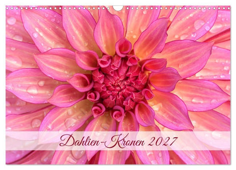 Dahlien-Kronen (Wandkalender 2027 DIN A3 quer), CALVENDO Monatskalender