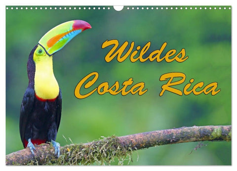 Wildes Costa Rica (Wandkalender 2027 DIN A3 quer), CALVENDO Monatskalender