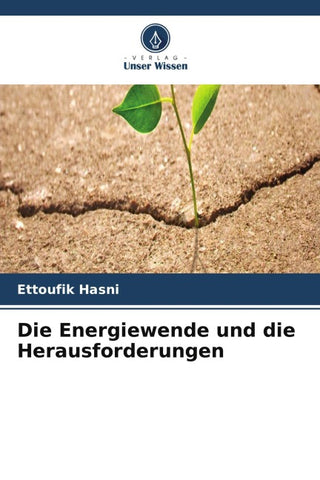 Die Energiewende und die Herausforderungen