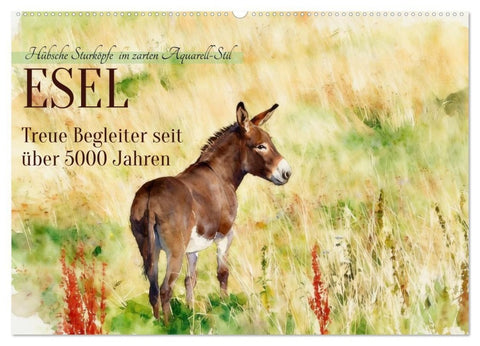 Esel - Treue Begleiter seit über 5000 Jahren (Wandkalender 2027 DIN A2 quer), CALVENDO Monatskalender
