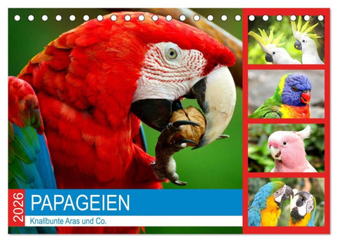 Papageien. Knallbunte Aras und Co. (Tischkalender 2026 DIN A5 quer), CALVENDO Monatskalender