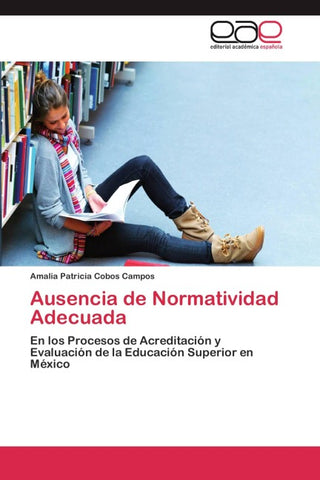 Ausencia de Normatividad Adecuada