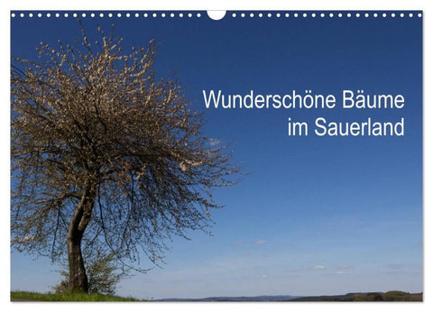 Wunderschöne Bäume im Sauerland (Wandkalender 2027 DIN A3 quer), CALVENDO Monatskalender