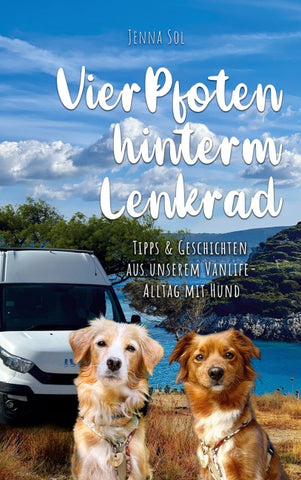 Vier Pfoten hinterm Lenkrad