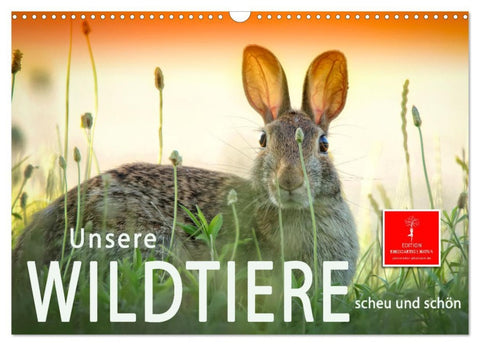 Unsere Wildtiere - scheu und schön (Wandkalender 2026 DIN A3 quer), CALVENDO Monatskalender