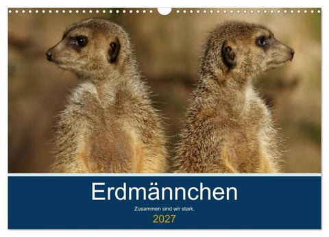 Erdmännchen - Zusammen sind wir stark (Wandkalender 2027 DIN A3 quer), CALVENDO Monatskalender