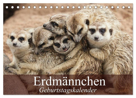 Erdmännchen (Tischkalender 2027 DIN A5 quer), CALVENDO Monatskalender