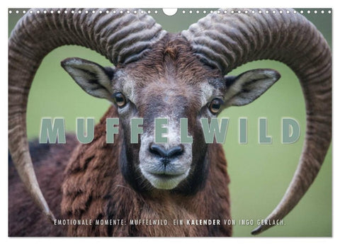 Emotionale Momente: Muffelwild. (Wandkalender 2027 DIN A3 quer), CALVENDO Monatskalender
