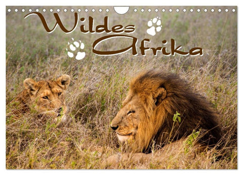 Wildes Afrika (Wandkalender 2026 DIN A4 quer), CALVENDO Monatskalender