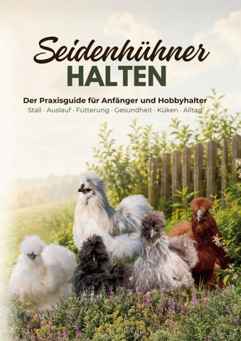 Seidenhühner halten