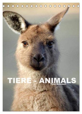 Tiere - Animals (Tischkalender 2027 DIN A5 hoch), CALVENDO Monatskalender