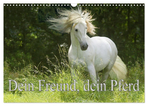 Dein Freund, dein Pferd (Wandkalender 2027 DIN A3 quer), CALVENDO Monatskalender