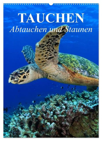 Tauchen - Abtauchen und Staunen (Wandkalender 2027 DIN A2 hoch), CALVENDO Monatskalender