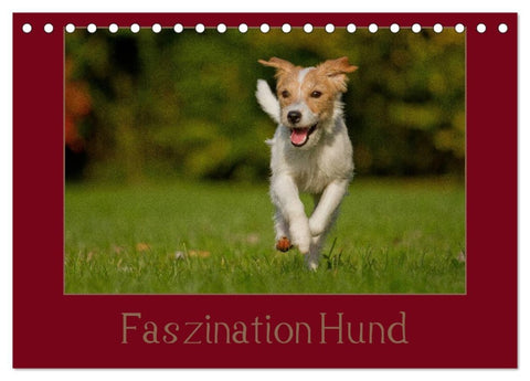 Faszination Hund (Tischkalender 2026 DIN A5 quer), CALVENDO Monatskalender