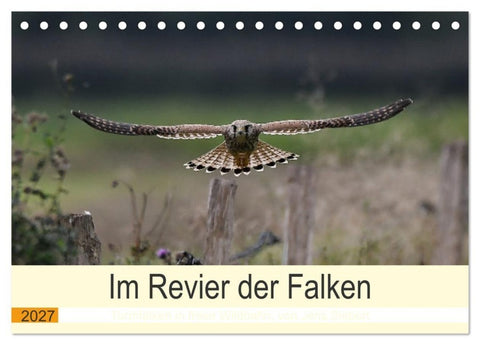Im Revier der Falken (Tischkalender 2027 DIN A5 quer), CALVENDO Monatskalender