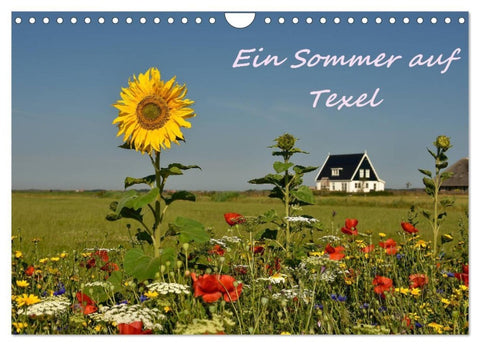 Ein Sommer auf Texel (Wandkalender 2027 DIN A4 quer), CALVENDO Monatskalender