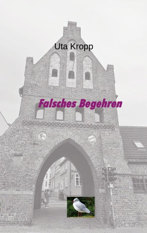 Falsches Begehren