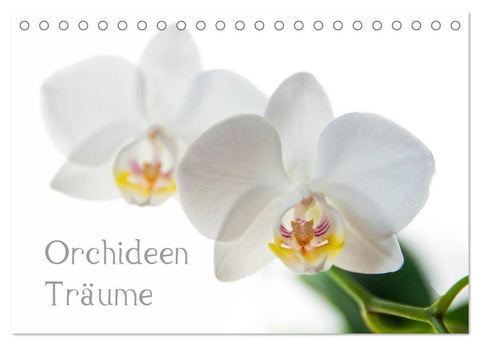 Orchideen Träume (Tischkalender 2026 DIN A5 quer), CALVENDO Monatskalender