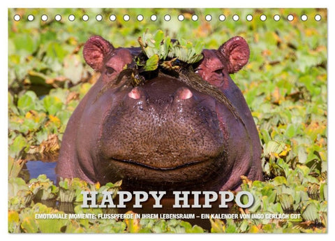 Emotionale Momente. Happy Hippo / CH-Version (Tischkalender 2027 DIN A5 quer), CALVENDO Monatskalender