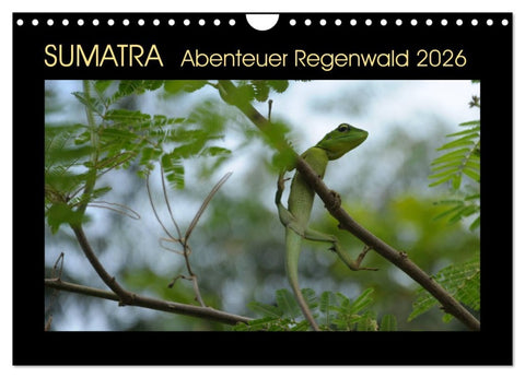 SUMATRA Abenteuer Regenwald (Wandkalender 2026 DIN A4 quer), CALVENDO Monatskalender