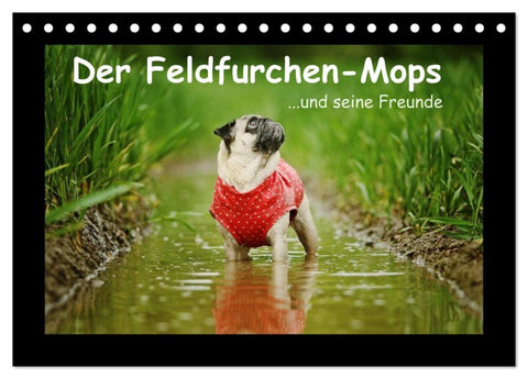 Der Feldfurchen-Mops (Tischkalender 2027 DIN A5 quer), CALVENDO Monatskalender